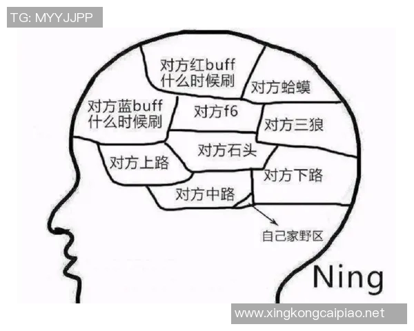 探讨英雄联盟战术IG的控制体系与团队协作策略分析