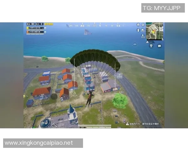 揭秘和平精英成功背后的故事与黄军的独特见解