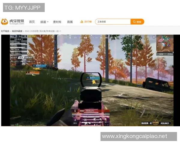 和平精英战术解析聚焦RNG团队协作与配合策略的深度剖析