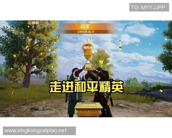 杨丽揭秘和平精英成功背后的策略与创新之路